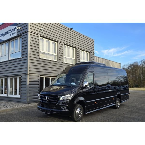 Mercedes Sprinter VIP tourisme luxe 22 places - Copie